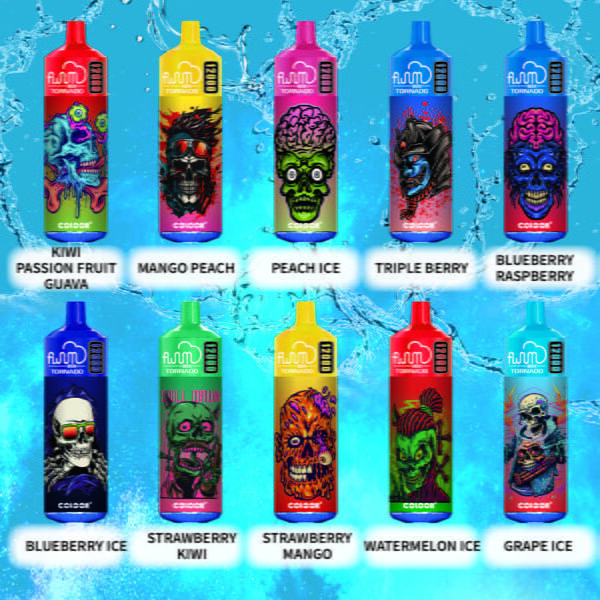 FLUUM BOX 12000 Puffs 0% 2% 3% 5% Nicotine Oplaadbare Wegwerp Vape Pen Pods E-Sigaret Bulk - ESCOVAPE - 3