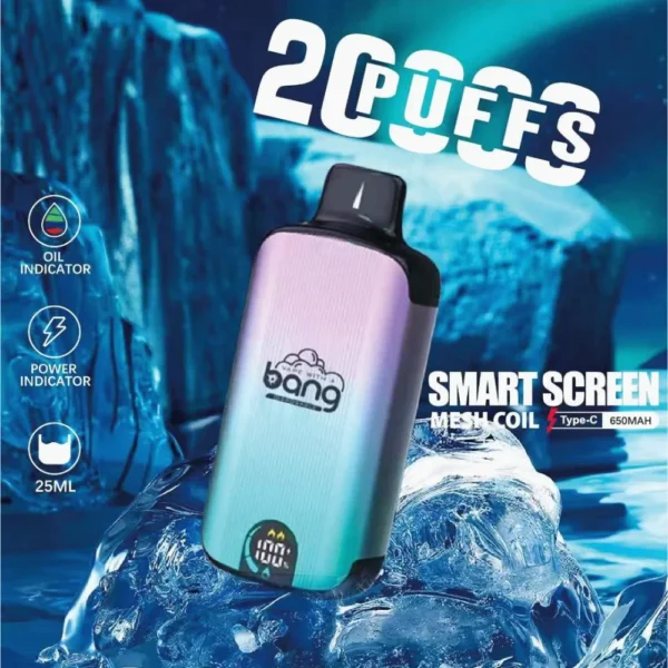 Bang Vape 20000 Puffs Dual Mesh 0% 2% 3% 5% Lage Nicotine LED-display Oplaadbare Bulk Aankoop Wegwerp Vape Pen Groothandel - ESCOVAPE - 1