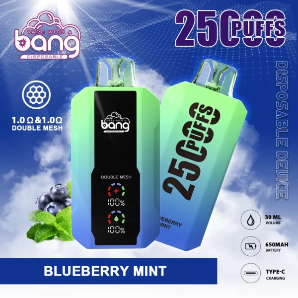 Bang 25000 Puffs 0% 2% 3% 5% Lage Nicotine Oplaadbare Wegwerp Vapes Pen Bulk Aankoop Groothandel - ESCOVAPE - 11