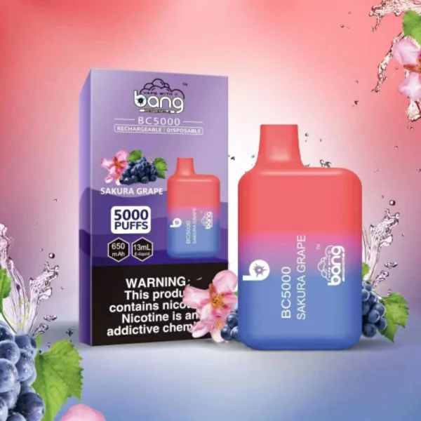 Bang BC 5000 Puffs 0% 2% 3% 5% Baixo Nicotina Recarregável Vapes Descartáveis Caneta Compra em Massa Atacado - ESCOVAPE - 7