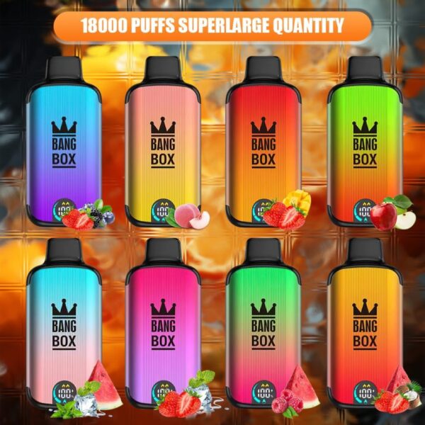 Bang Box 18000 Puffs LED Display Scherm 0% 2% 3% 5% Lage Nicotine Bulk Aankoop Oplaadbare Wegwerpbare Vape Pen Groothandel - ESCOVAPE - 1