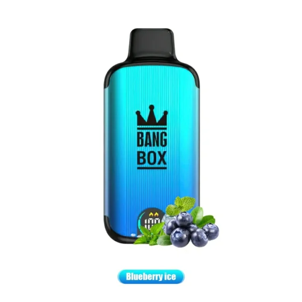 Bang Box 18000 Puffs LED Display Scherm 0% 2% 3% 5% Lage Nicotine Bulk Aankoop Oplaadbare Wegwerpbare Vape Pen Groothandel - ESCOVAPE - 2